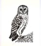 Barn Owl - Lino Print - Image 1