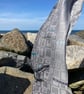 Sea Defences Handwoven Cotton Scarf - Image 10