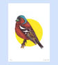 Chaffinch, 4-colour screen print - Image 2