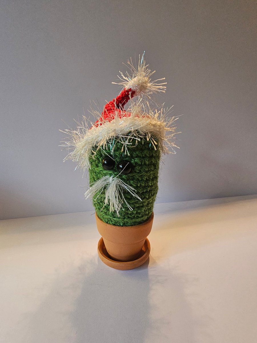 Christmas gift Crochet cactus Mr Tash