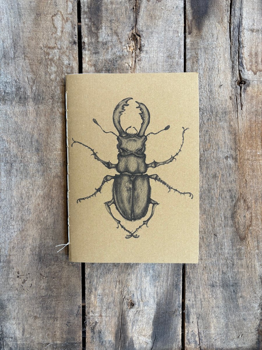 Beetle Sketchbook