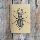 Beetle Sketchbook