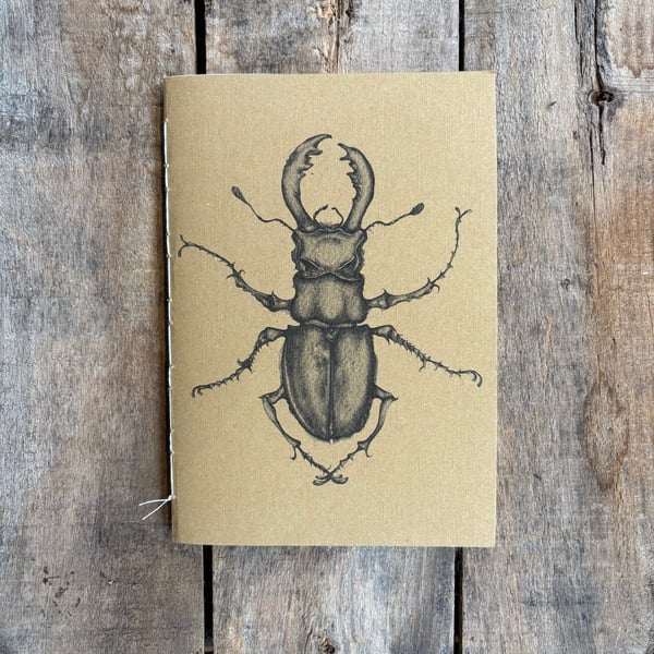 Beetle Sketchbook