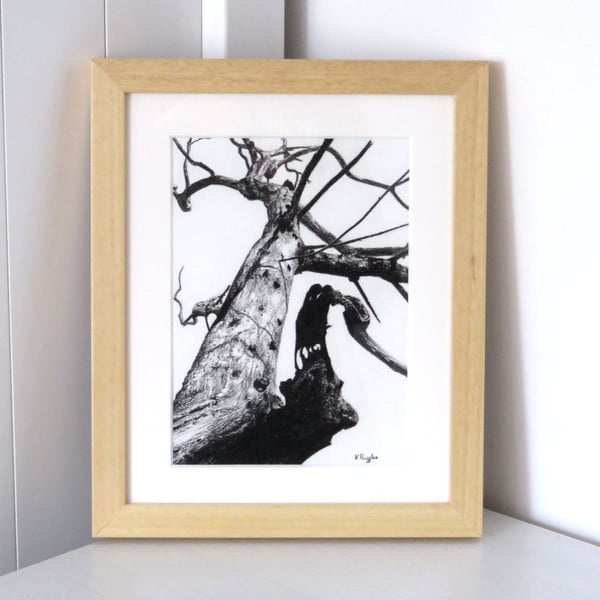 Scary dead tree charcoal pencil drawing, framed in oak