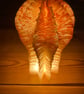 paper table lamp - pod light - Image 4