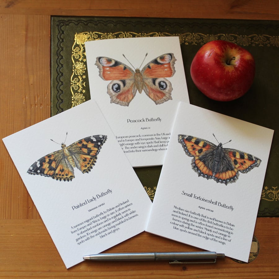 Butterfly greetings cards - pack of 3 blank notelets, A6 size (10.5x14.8 cm) 