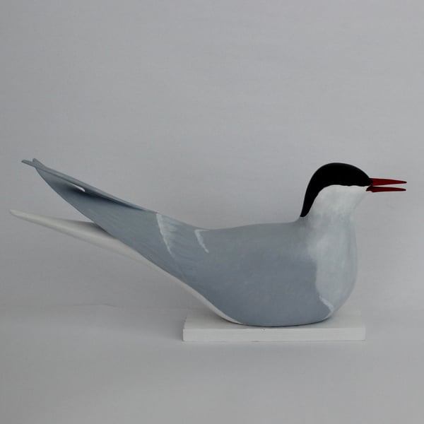 Arctic tern