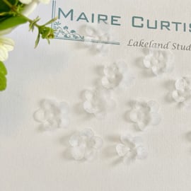 White Silk Organza Forget me not Flowers