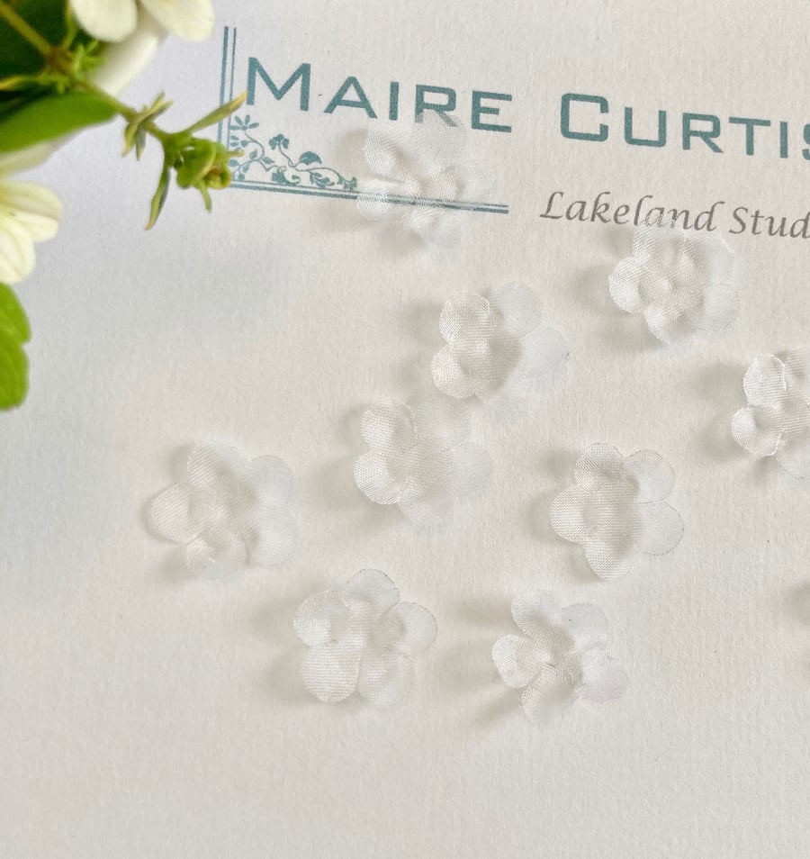 White Silk Organza Forget me not Flowers