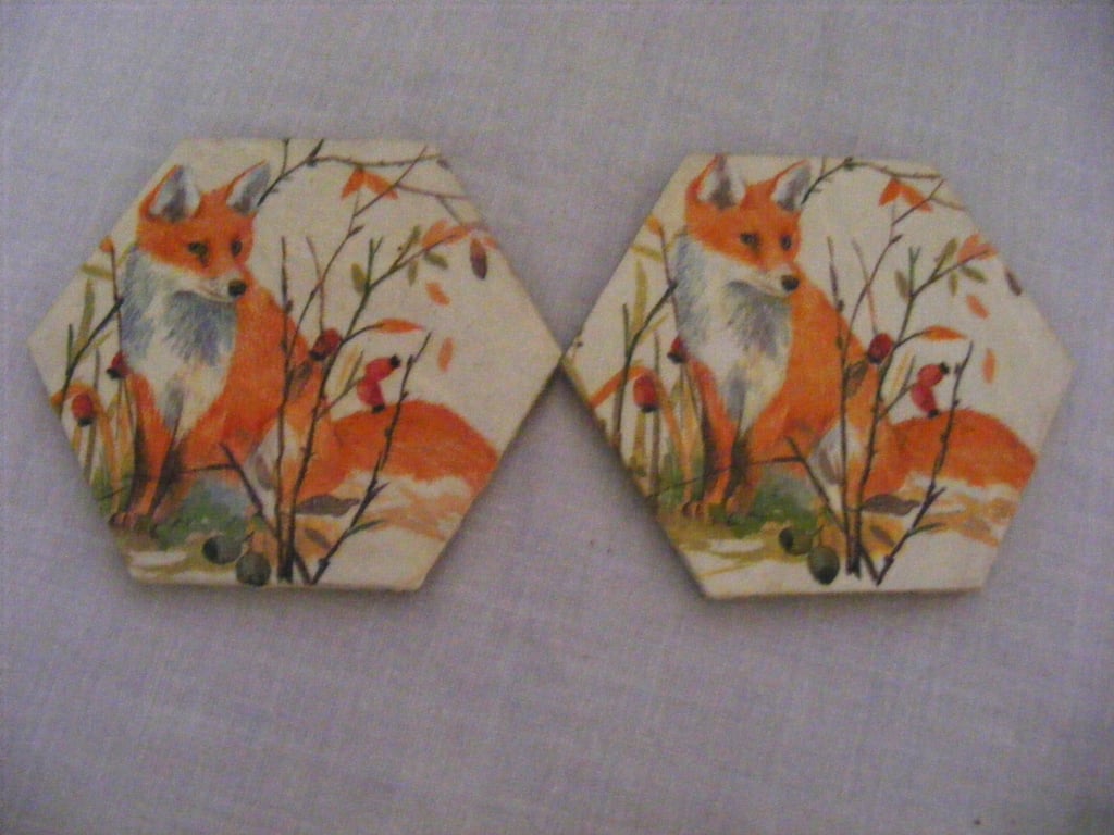 Set of 2 Fox Coasters.