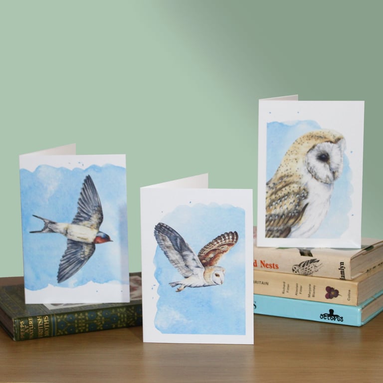 Bird greetings cards, 3 pack, A6 size blank notelets, barn owls and swallow