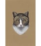 Tabby Cat Fine Art Print - Image 3