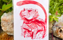 Kitty Cats