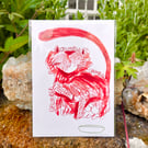 A5 Grumble Grumble cat 