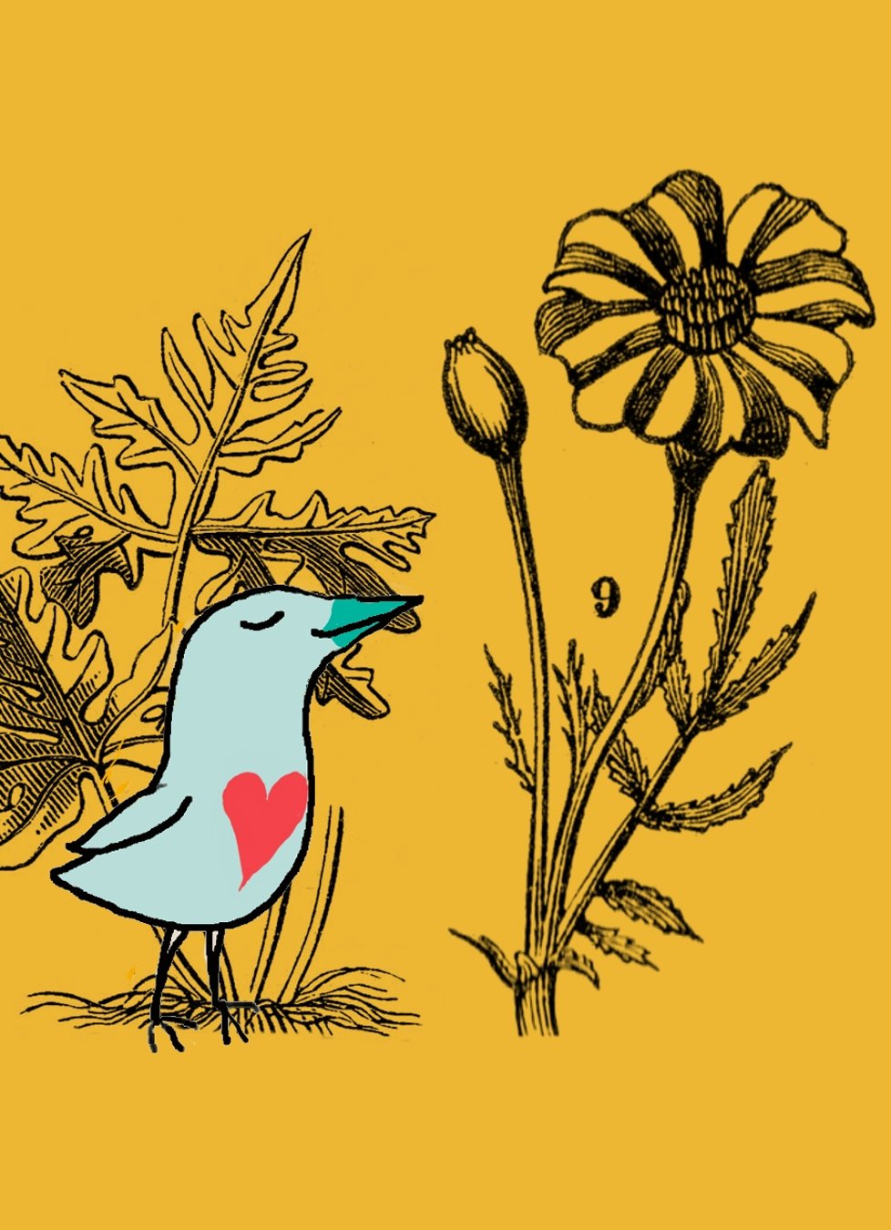 Daisies Are Our Silver