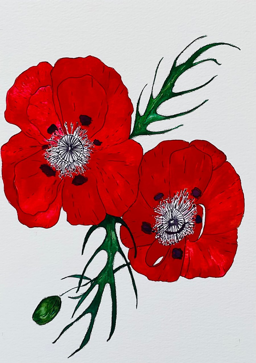Poppy Watercolour - Original Painting 
