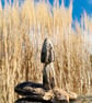 Driftwood toadstool - Image 4