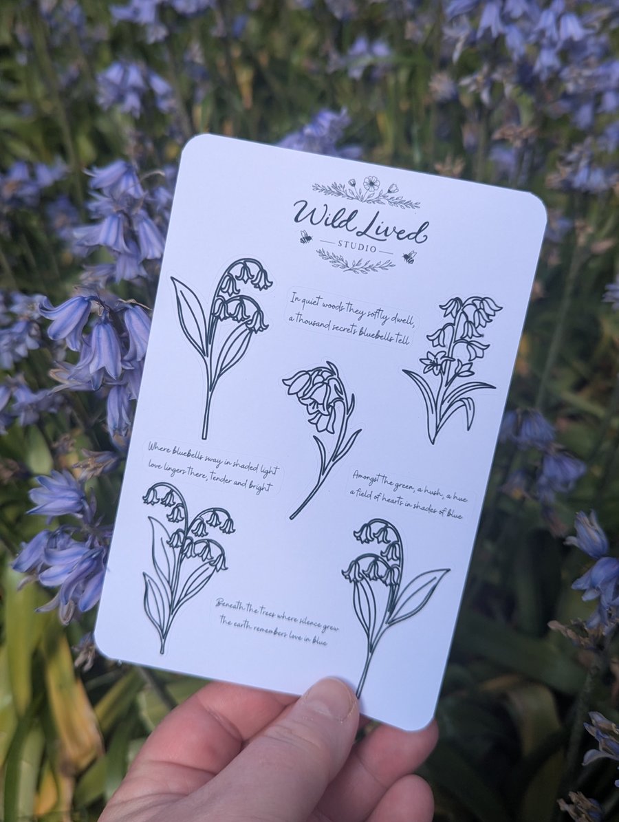Bluebell sticker sheet, colour your own stickers, botanical outline, poem verses