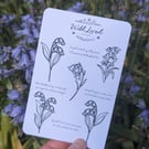 Bluebell sticker sheet, colour your own stickers, botanical outline, poem verses