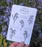 Bluebell sticker sheet, colour your own stickers, botanical outline, poem verses