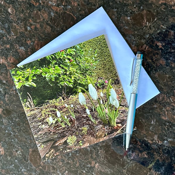 Snowdrops Greetings Card for Flower and Nature Lovers. Sympathy Bereavement 