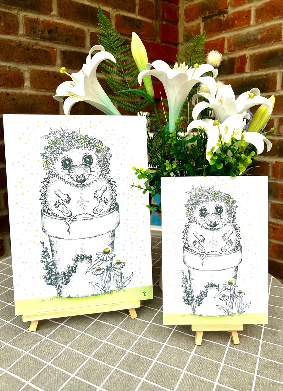 Illustration print - ‘Harry the Hedgehog' (Small - foam board backing)