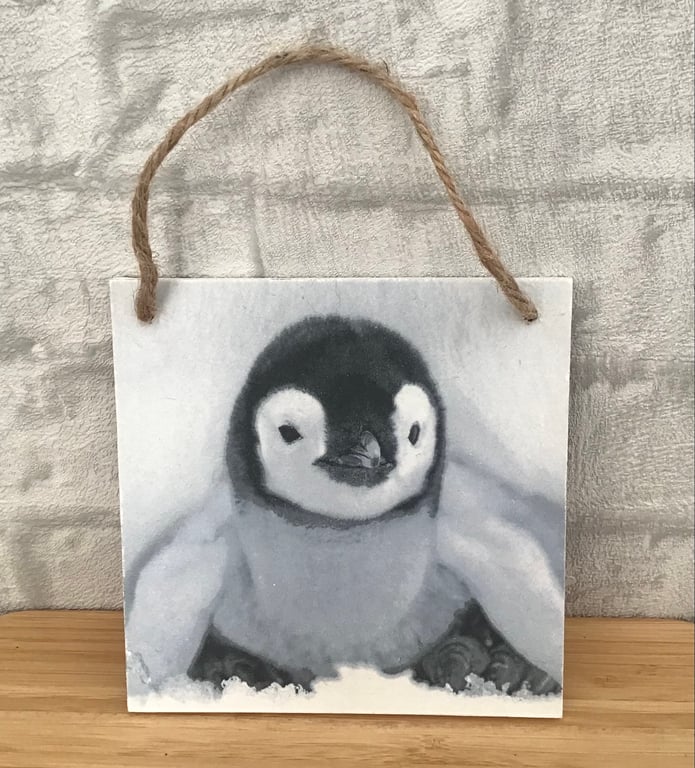 Fluffy Emperor Penguin Chick, wooden hanging wall plaque. FREE delivery.