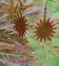 Hammered Sun Earrings - Image 2