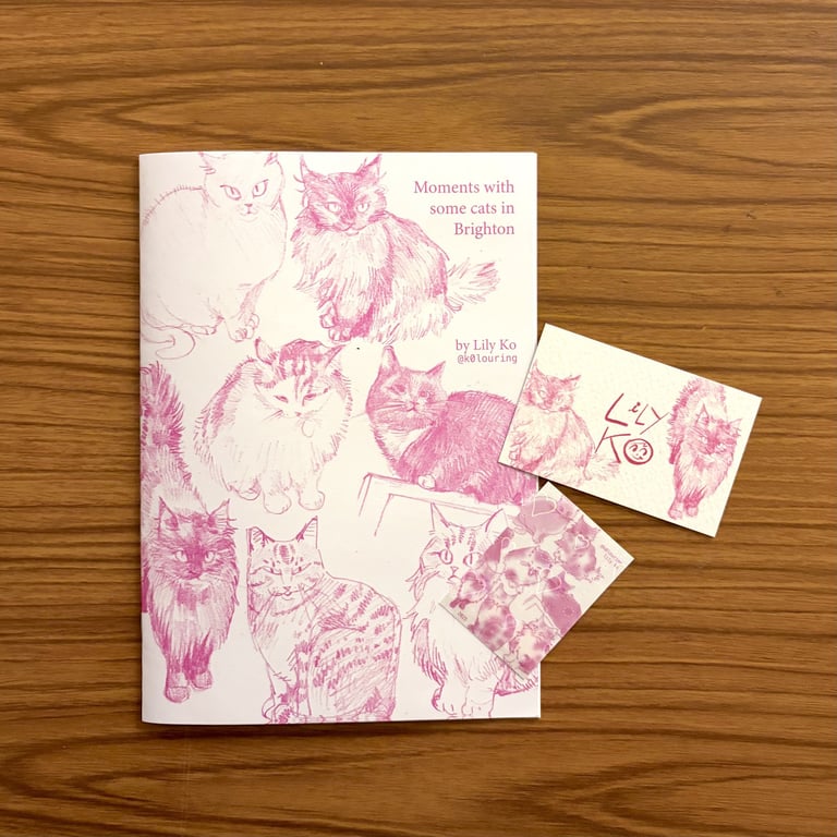 "Moments with some Cats in Brighton" Zine and Sticker