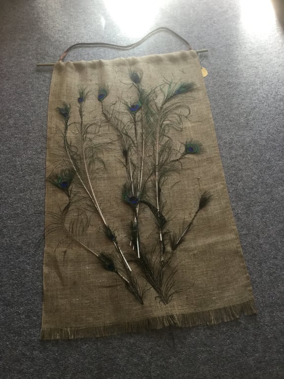 Peacock feathers 