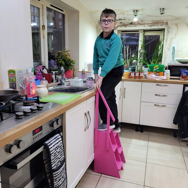 Child's Step Stool wood with bannister hand rail.
