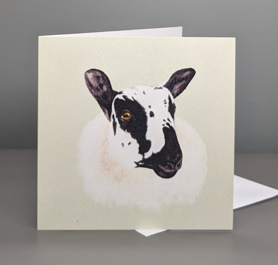 Sheep greetings card