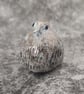 Baby Fledgling Ornament, Pale Blue Brown Little Bird Sculpture - Image 7