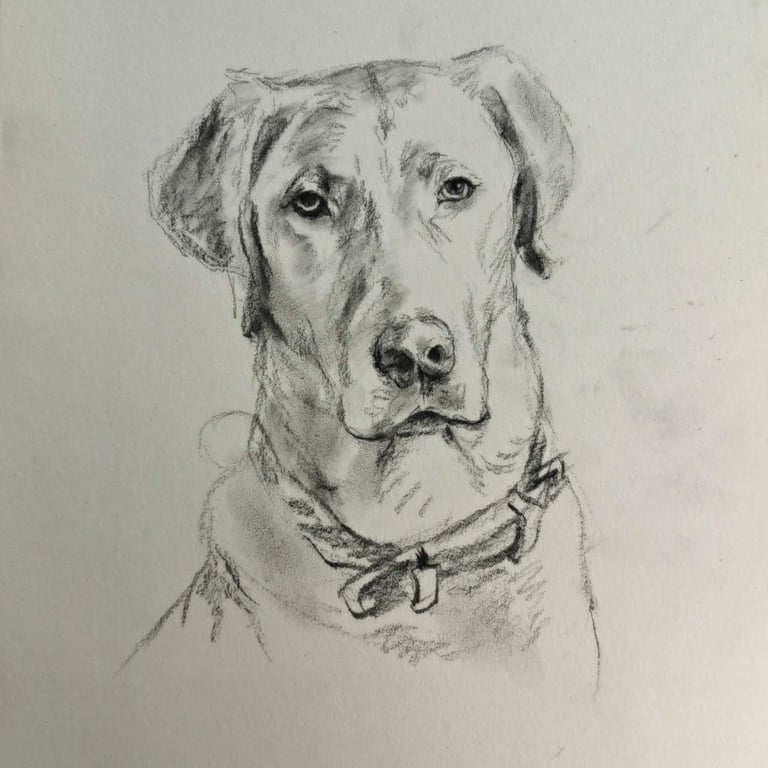 Custom Pencil Portrait of Your Pet - Hand Drawn Dog Cat Animal Art Sketch
