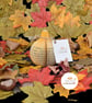 Personalised Onion Gift - Image 5