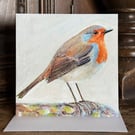 Robin Notecards, Set of 6