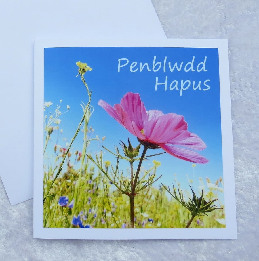 Penblwdd Hapus, Happy Birthday, Welsh greetings, Cymraeg