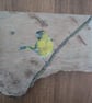 Siskin Painting on Reclaimed Wood - Image 2