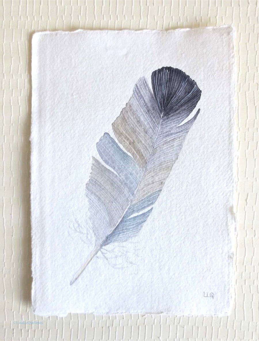 Seconds Sunday original feather watercolour painting of a grey feather 
