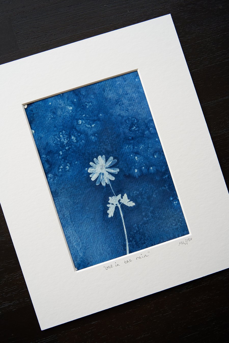 original wet cyanotype print entitled "lost in the rain”, mounted