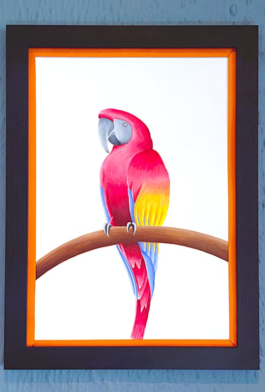 Handmade Unique Framed A3 Print Colourful Macau Parrot Orange Border Wallart