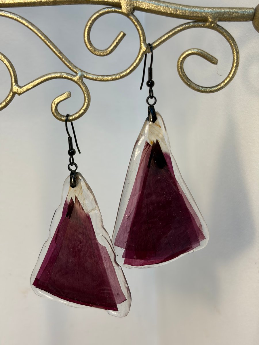 Cornish poppy earrings 