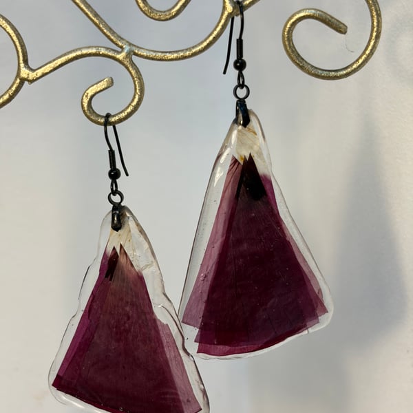 Cornish poppy earrings 