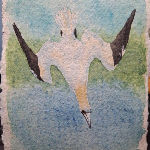 Gannet Original Watercolour Painting A6
