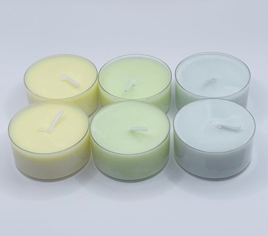 12 Citrus Essential Oil Tealight Blends 