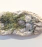 Mixed Media Bottle sculpture textiles plus papercrete - Image 2