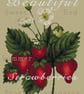 034 - Rustic Strawberries - Cross Stitch Pattern - Image 2