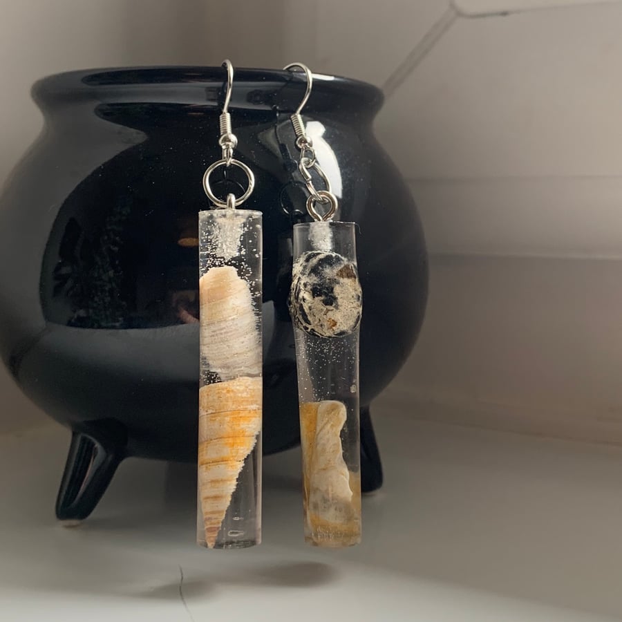 Cylindrical Shell and Driftwood Earrings