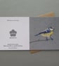 Blue-tit card, printed on recycled card, blank - Image 5