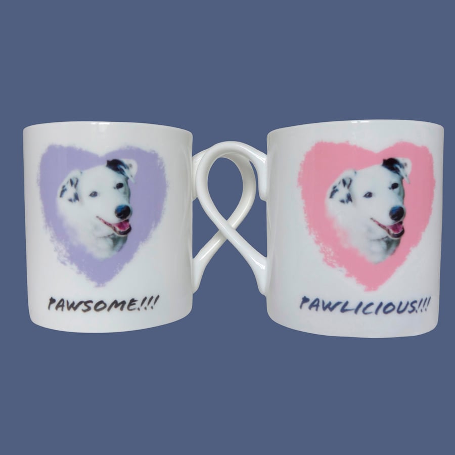 2 x Bone China Dogs Mugs PAWLICIOUS & PAWSOME - Together Forever ! Bundle